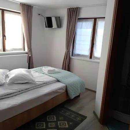 De La Mare La Munte Guest house Vatra Dornei